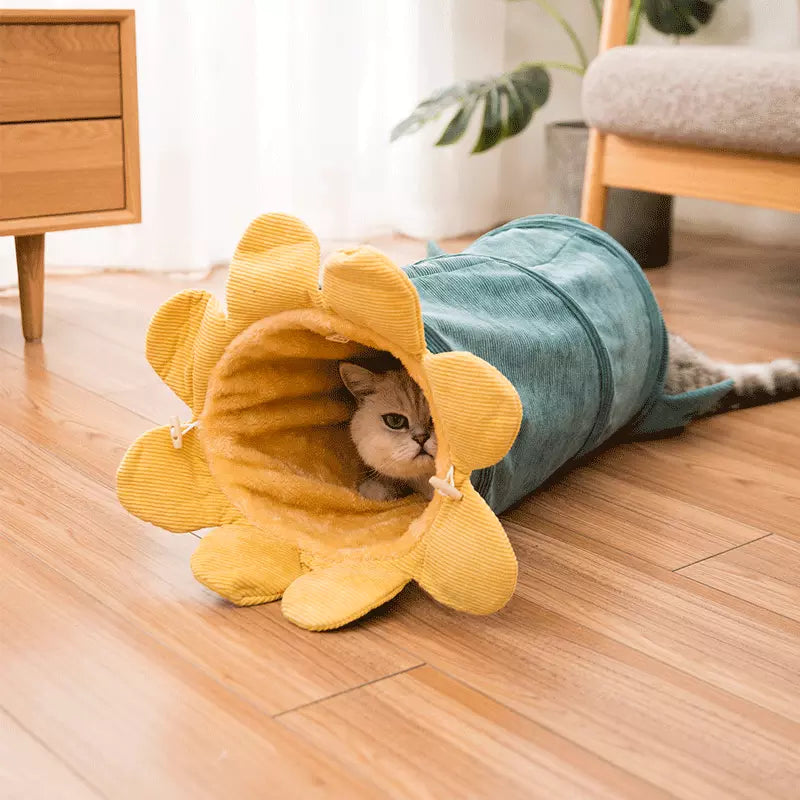 Creative Fruit - Pet Tunnel Toys