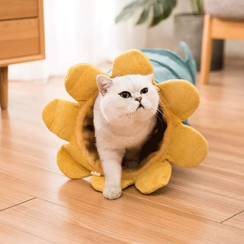 Creative Fruit - Pet Tunnel Toys