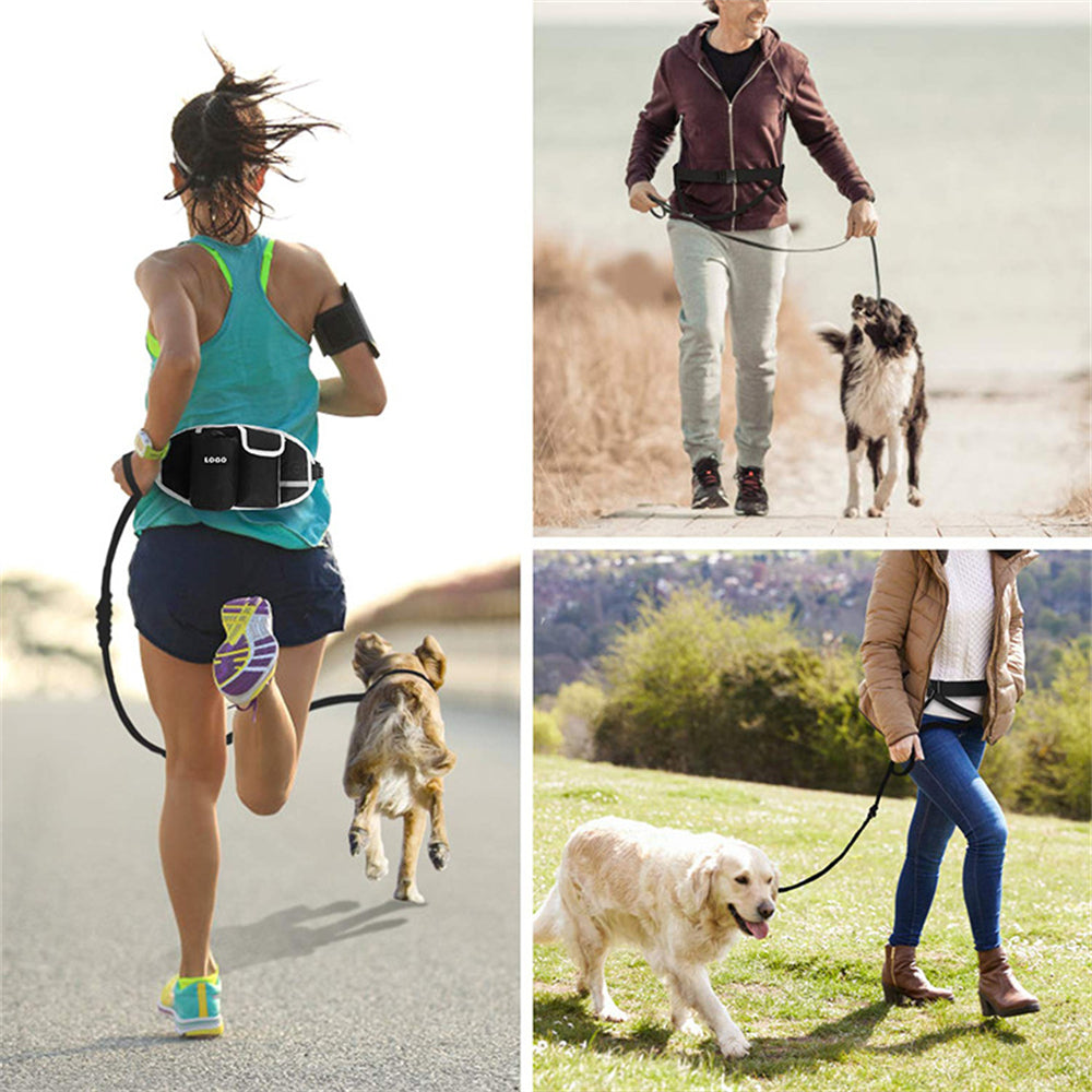 Dog Training Leash Waist Bag | Hands-Free Outdoor Pet Running