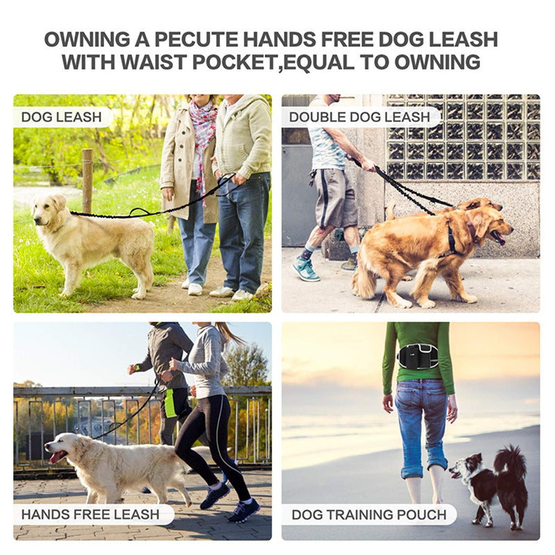 Dog Training Leash Waist Bag | Hands-Free Outdoor Pet Running