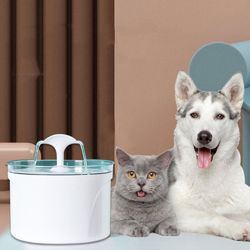 Water Fountain | Electric Automatic Water Feeder