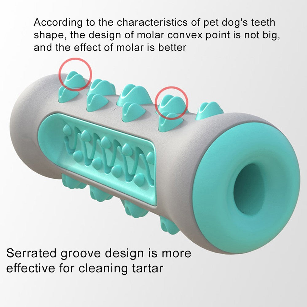 Dog Bone Shape | Teeth Cleaner