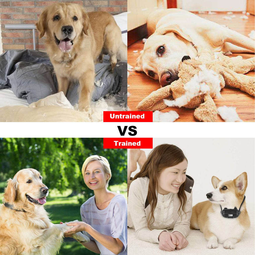 Dog Training Collar With Remote  IP67 Waterproof Pet Trainer