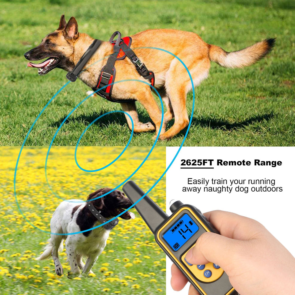 Dog Training Collar With Remote  IP67 Waterproof Pet Trainer
