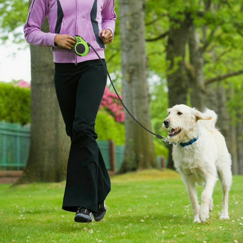 16.5FT Automatic Retractable Dog Leash Pet Collar