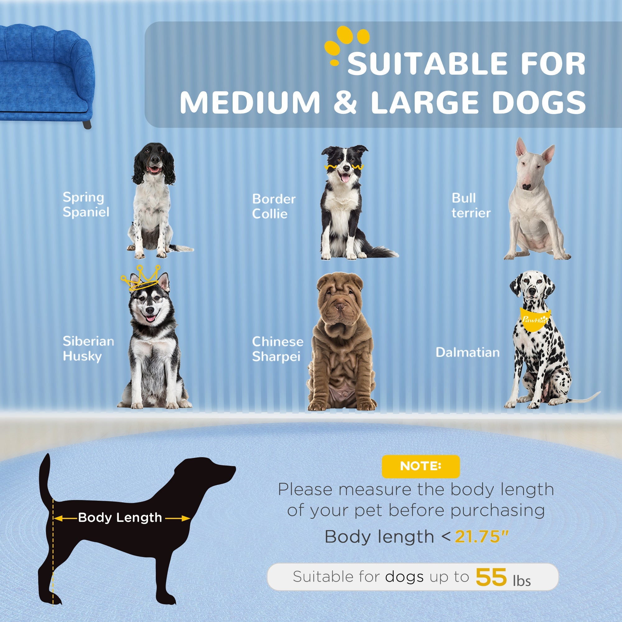 Mojotails Designer Pet Sofa