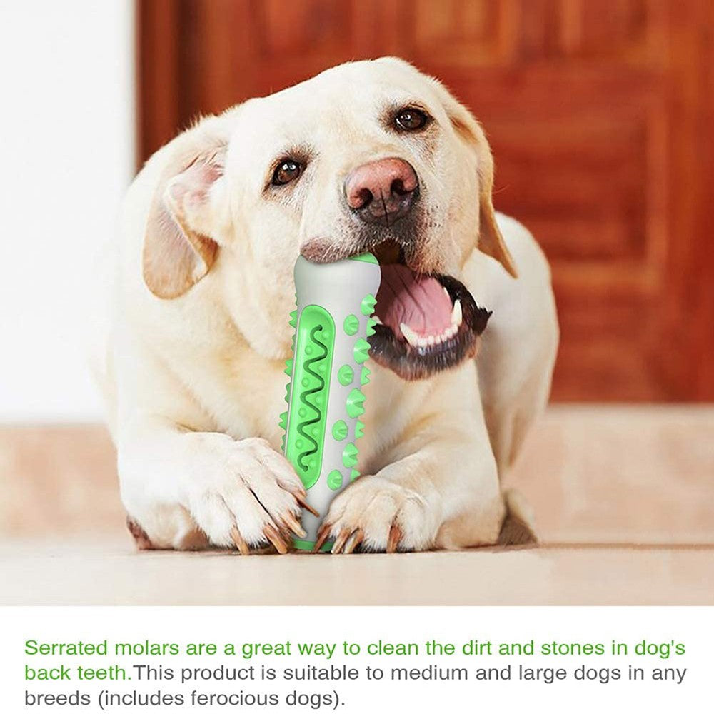 Dog Bone Shape | Teeth Cleaner