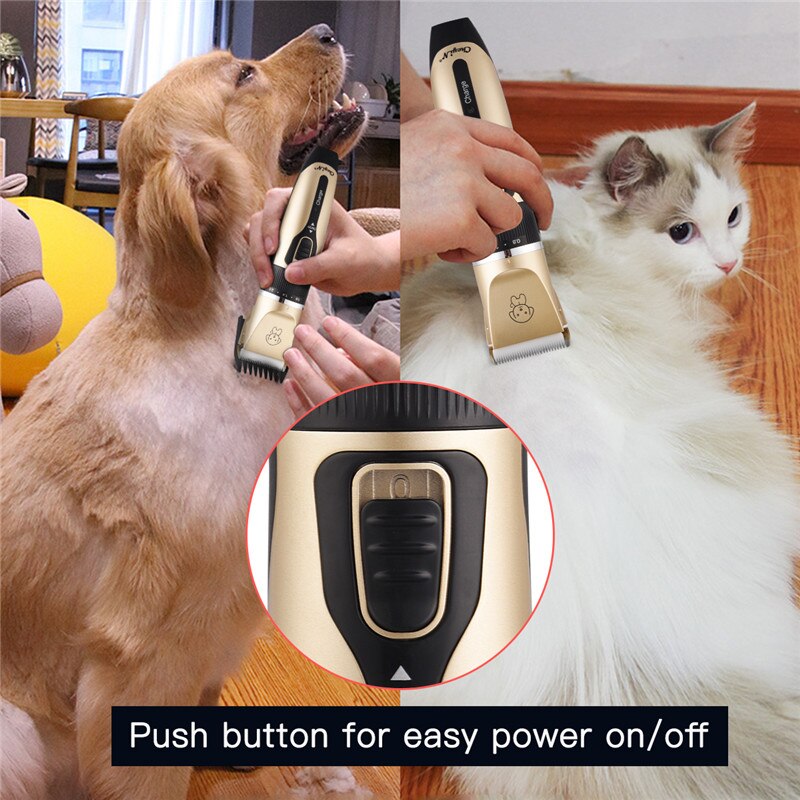 Mojotails Professional Pet Grooming