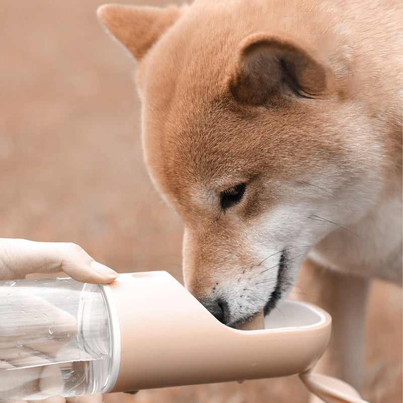 Mojotails Portable Outdoor Drinking Cup