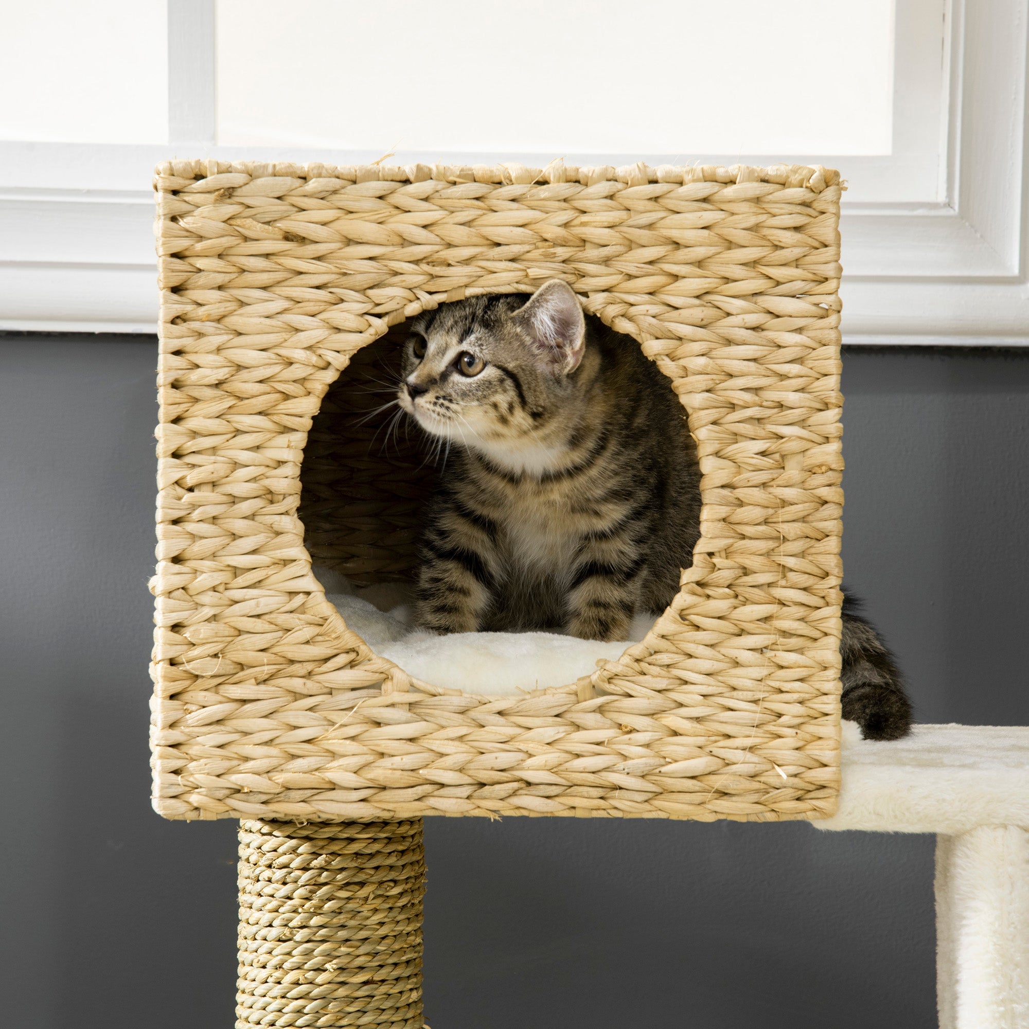 Cattail Weave Cat Tree - Kitty Tower