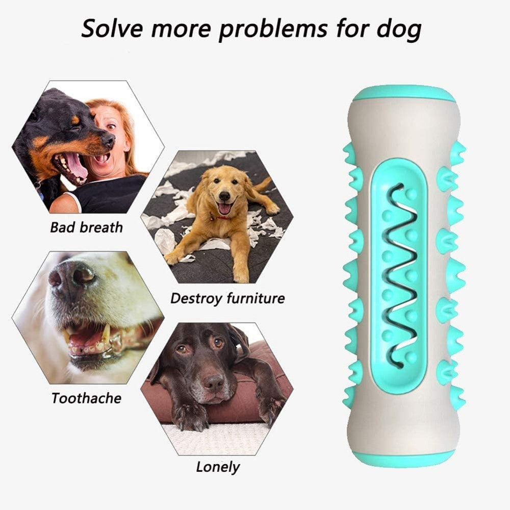 Dog Bone Shape | Teeth Cleaner