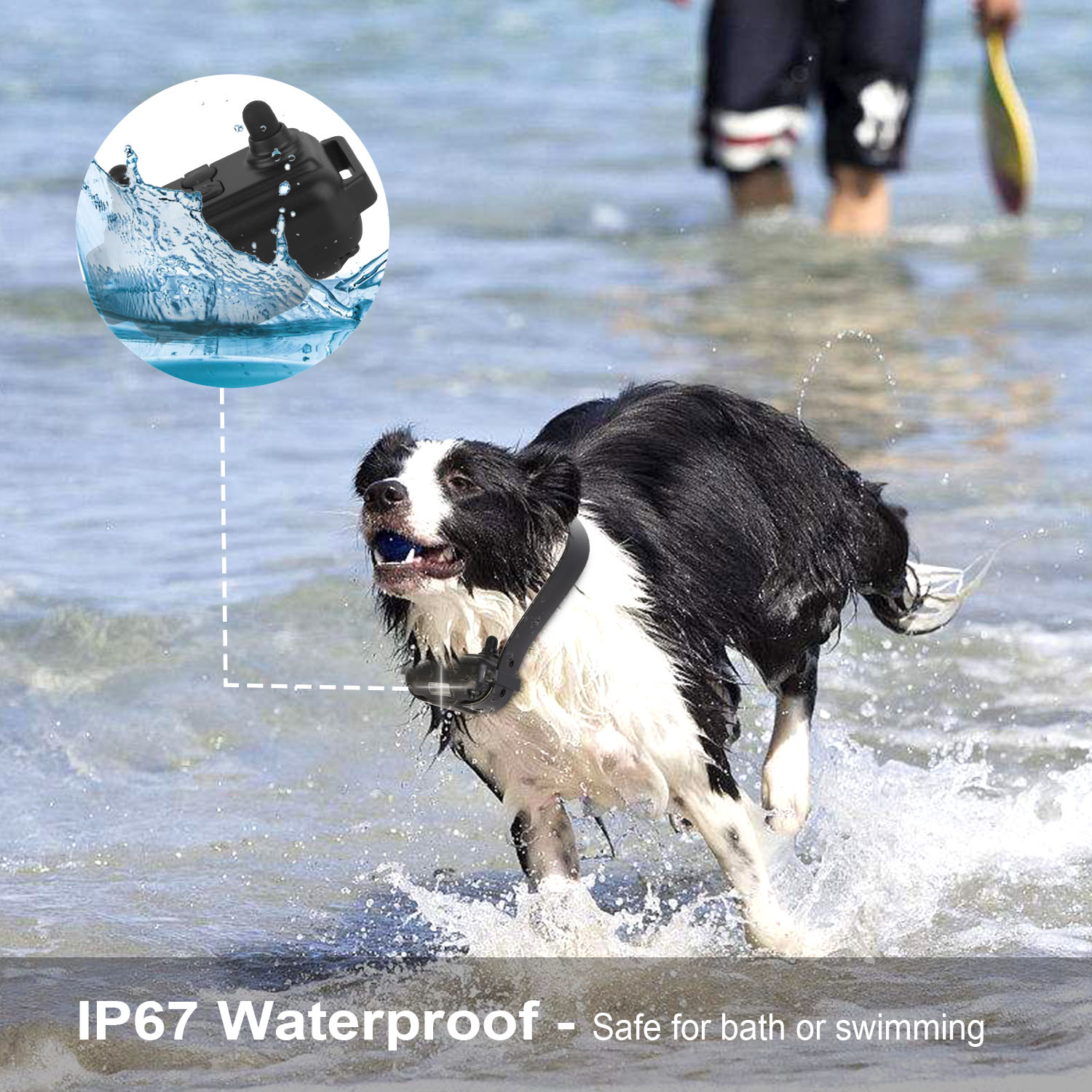 Dog Training Collar With Remote  IP67 Waterproof Pet Trainer
