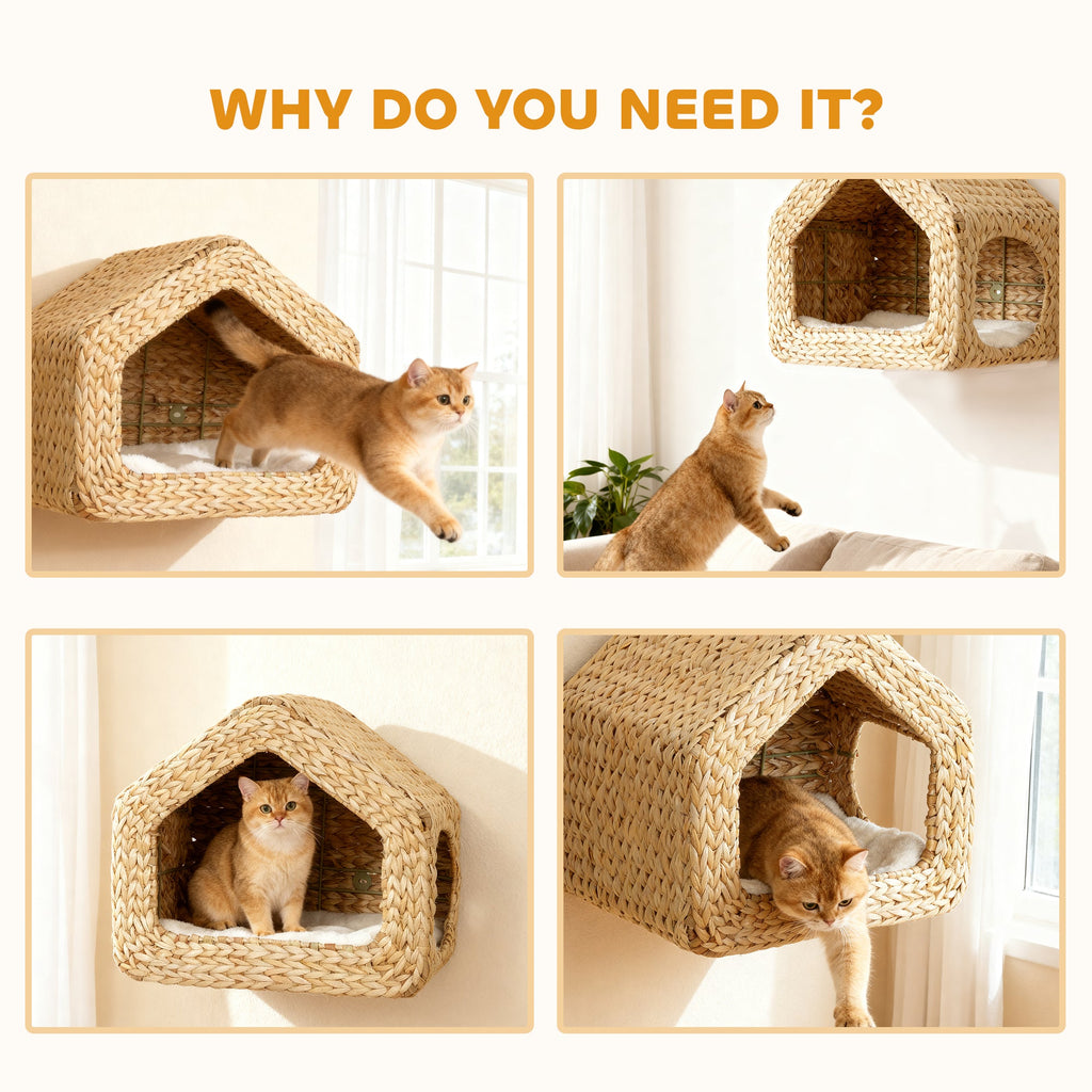 Wall Mounted Cat House, Cat Wall Furniture, Cat Wall Shelf with