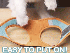 Adjustable Cat Harness With Leash Set - Reflective