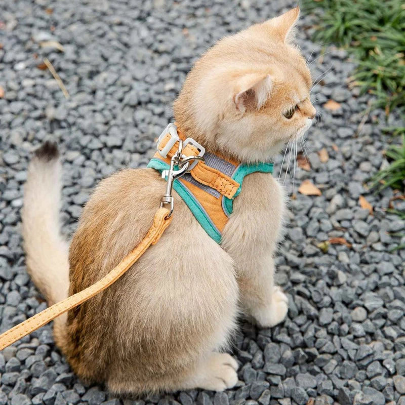 Adjustable Cat Harness With Leash Set - Reflective