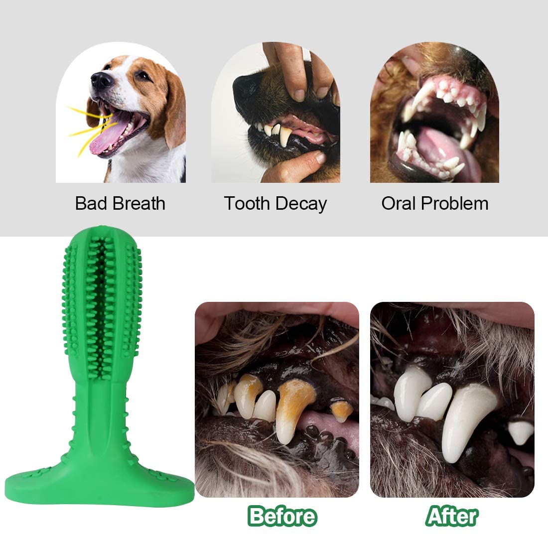 Natural Rubber Bite | Dog Toothbrush Toy