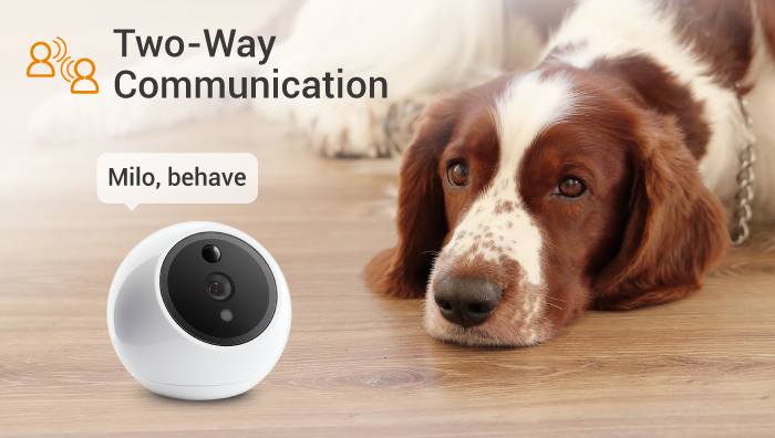 Mojotails Pet Monitoring Camera - White, AI Detection, Night Vision