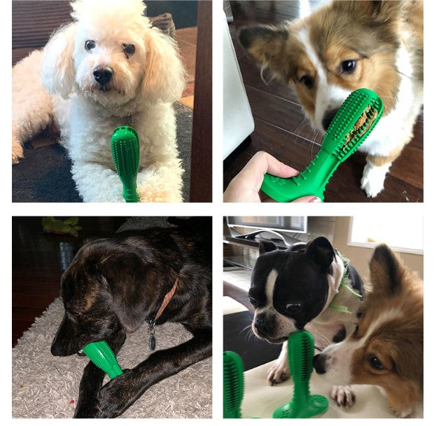 Natural Rubber Bite | Dog Toothbrush Toy