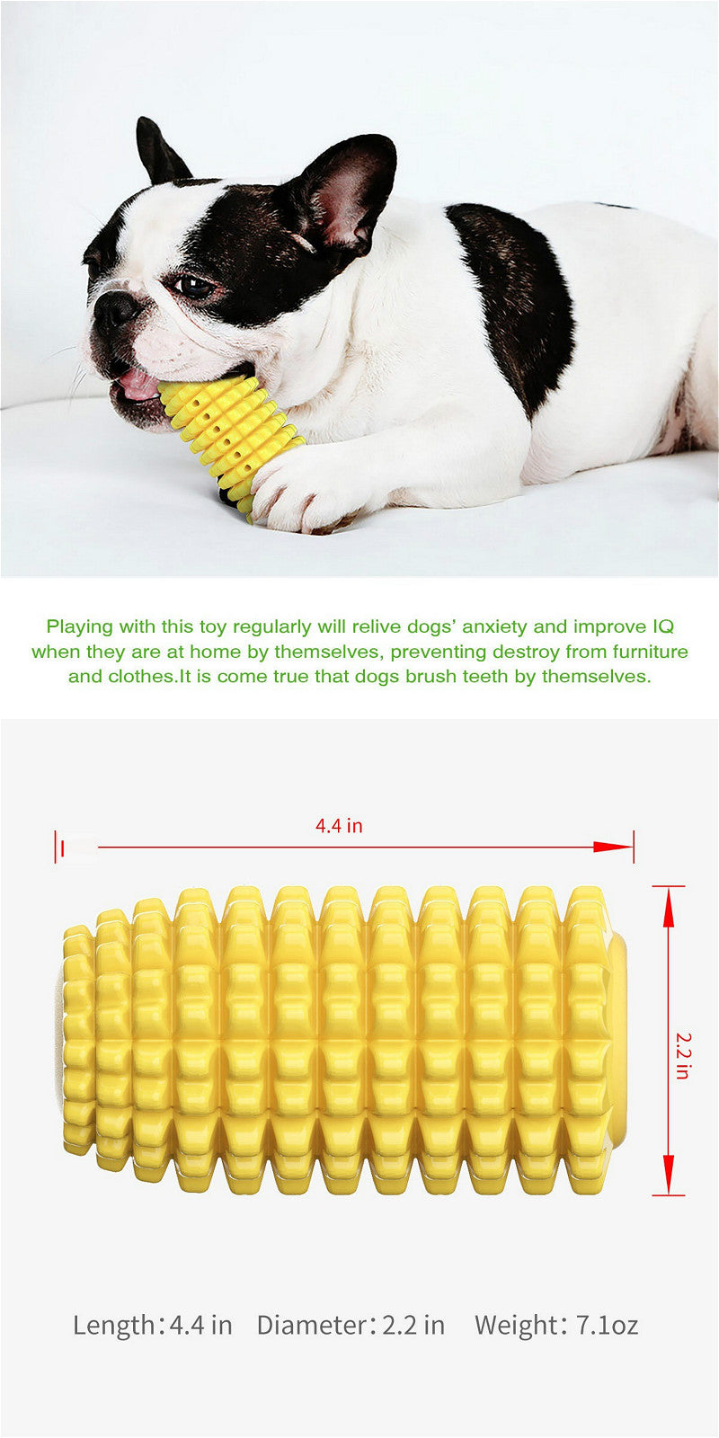 Pet Toothbrush Corn Stick | Pet Chew Toy