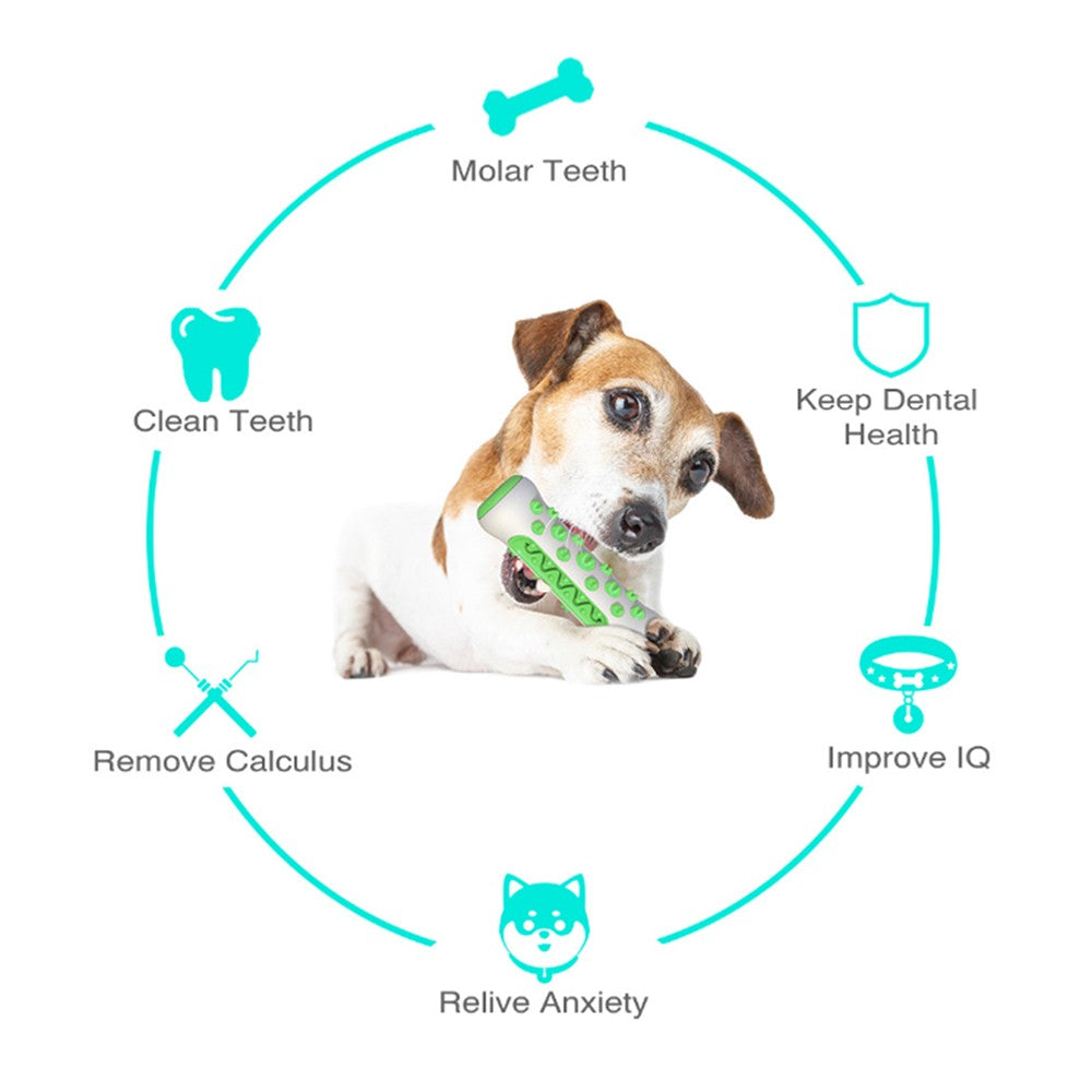 Dog Bone Shape | Teeth Cleaner