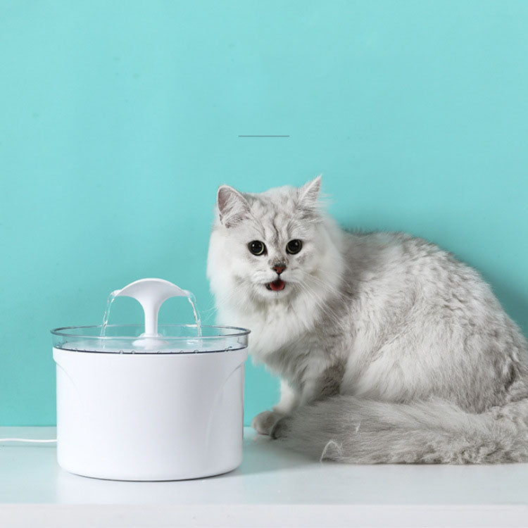 Water Fountain | Electric Automatic Water Feeder
