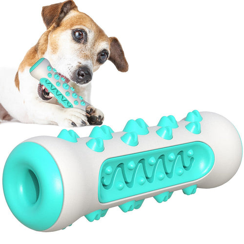 Dog Bone Shape | Teeth Cleaner